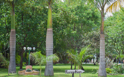 Affordable Accommodation in Kwekwe
