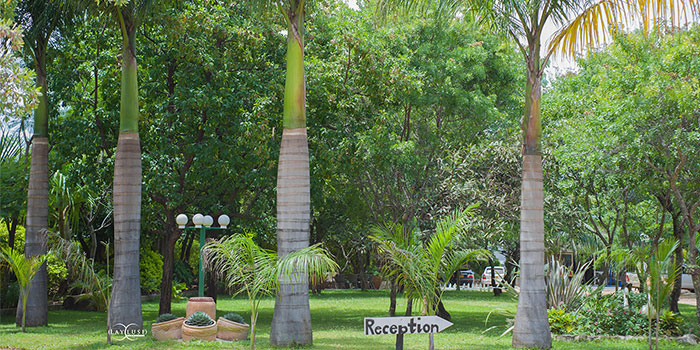 Golden Acres Guest Lodge Kwekwe